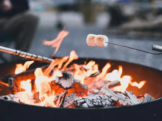 Marshmallow roasting over a campfire for S'mores Day