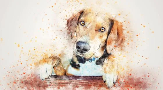 Pet artwork featured at a wine and paint resident event